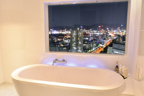 Room(View Bath Deluxe)