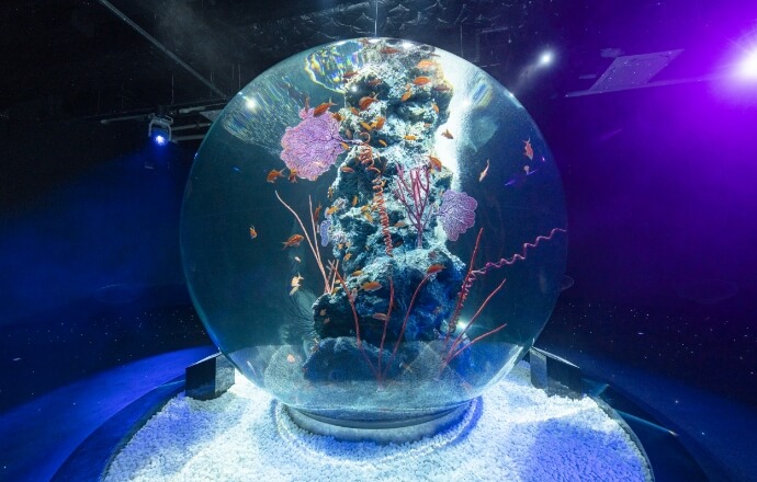 劇場型アクアリウム átoa(アトア) 入園券付宿泊プラン