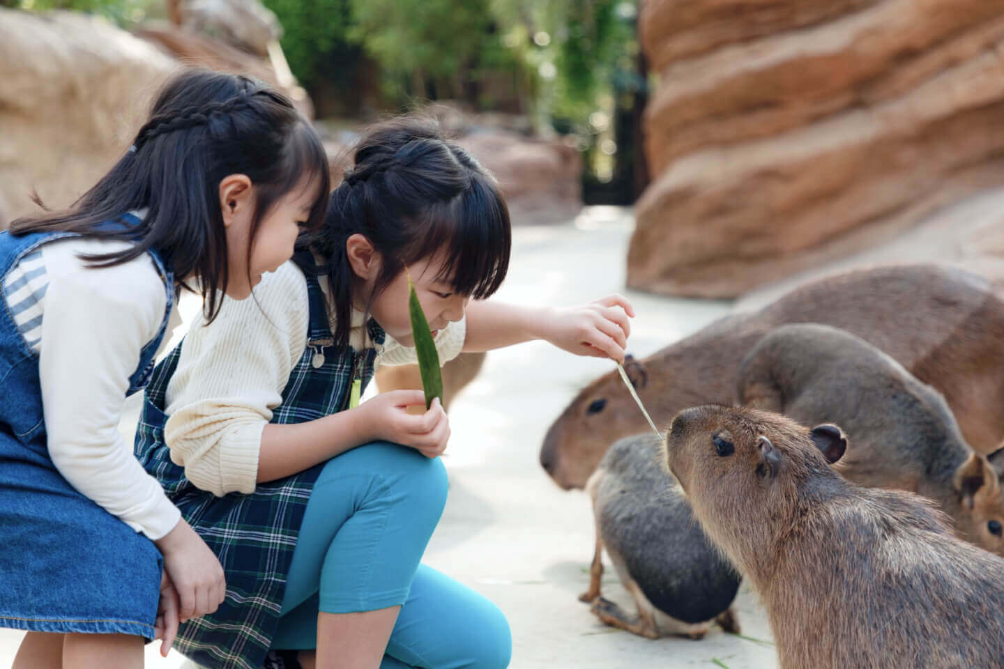 珍しい動物に会える神戸どうぶつ王国＆宿泊プラン