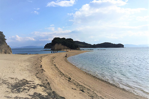 ジャンボフェリー「あおい」で行く小豆島フリープラン