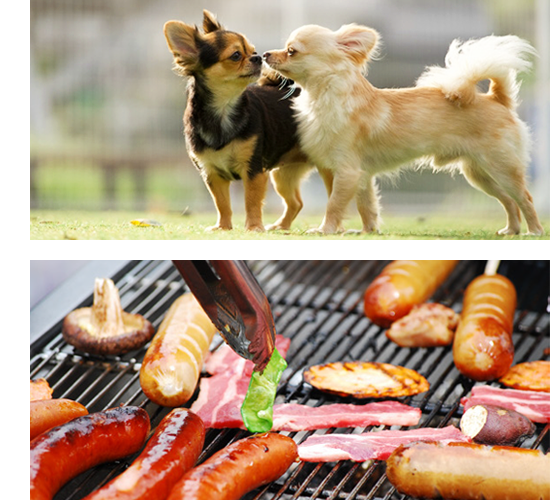 犬Kon！BBQパーティ！